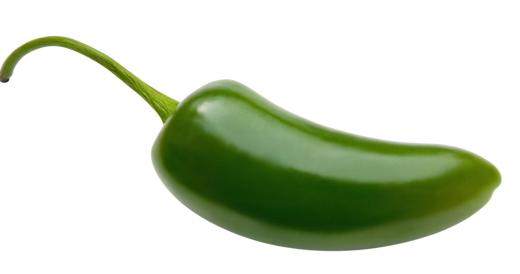 A fresh jalapeno pepper.