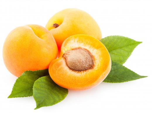 Apricots can be used instead of plums for a sauce.