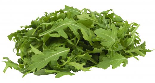 Arugula leaves are often included in field salads.