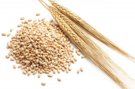 Barley is one ingredient used to make rassolnik.