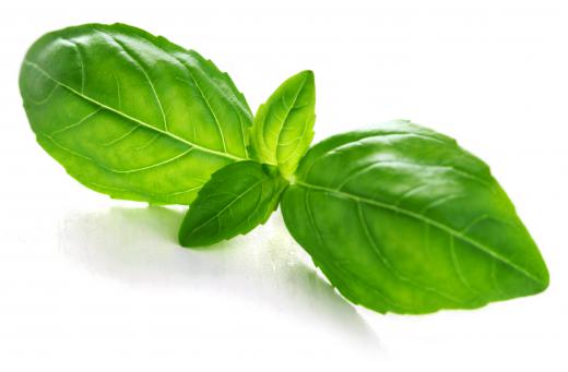 Basil is a common ingredient in marinara sauce.