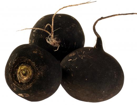 There are several different varieties of radishes available, including black radishes.