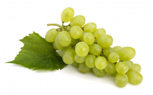 Grapes are used to make champagne vinegar.