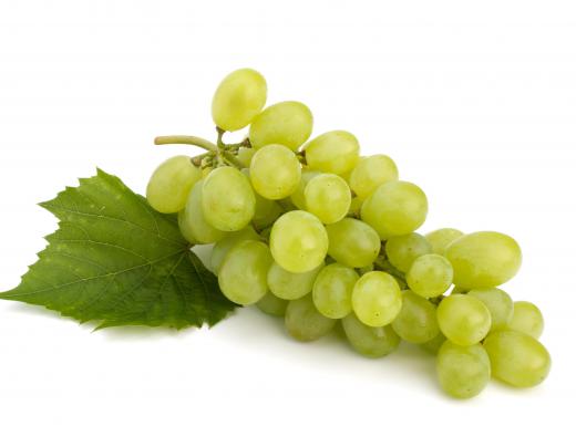 Thompson grapes are among the most popular green-skinned grapes.