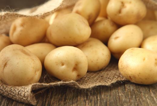 After cutting away the sprouts and green areas, firm potatoes are safe to eat.