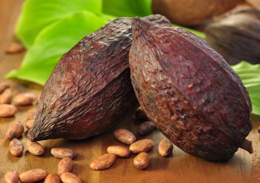 Chocolate is made from cacao beans.