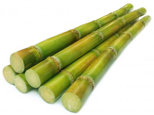 Sugar cane is a source of sugar.