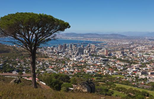 Malva pudding is popular in Cape Town.