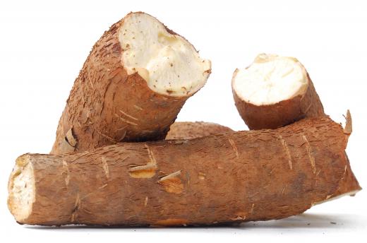 Cassava may be used to make manioc flour.