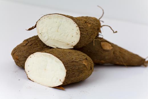 Fermented and roasted cassava root is used to make garri.