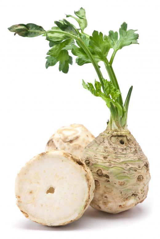 Celery root is sometimes used to make celery salt.