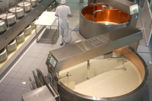 Cheese-making factory.