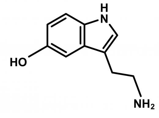 Serotonin is a neurotransmitter known as the "feel good" brain chemical, because it acts as both a mood booster and an appetite suppressant.