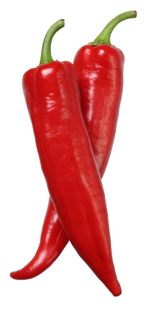 Peppers, a source of capsaicin.