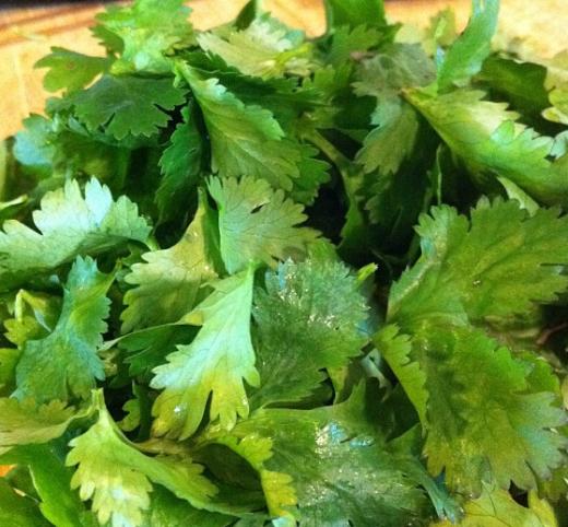 Nachos may be topped with cilantro.