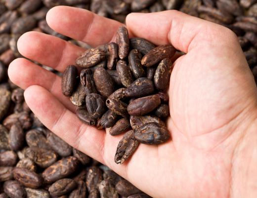 Chocolate is derived from ground up cocoa beans.