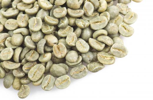 Unroasted coffee beans are known as green coffee.