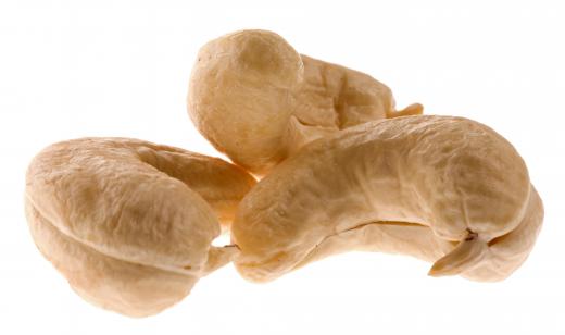 Cooked cashews are safe to eat.