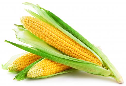 Maize flour is derived from the kernels found within a husk.