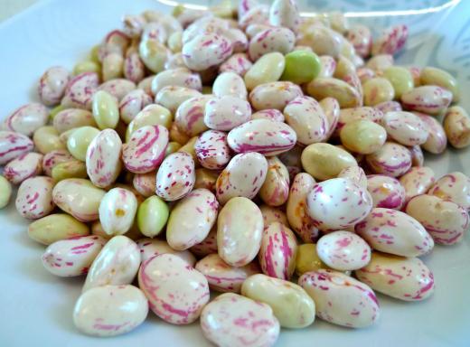 Cranberry beans on a plate.