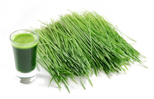 Wheatgrass and wheatgrass juice.