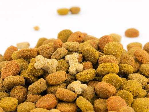 Dog foods often contain corn and wheat particulates.