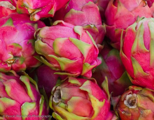 Dragon fruits.