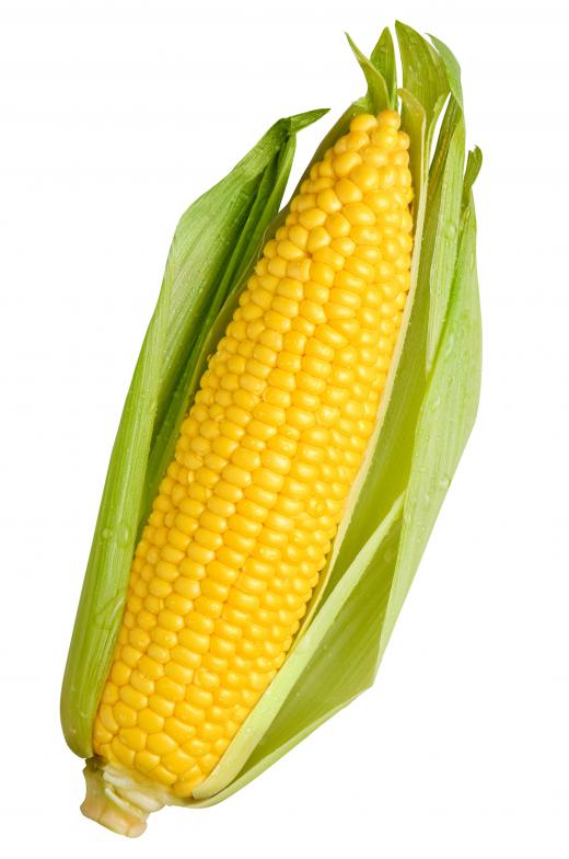 Corn is a common part of Basque cuisine.