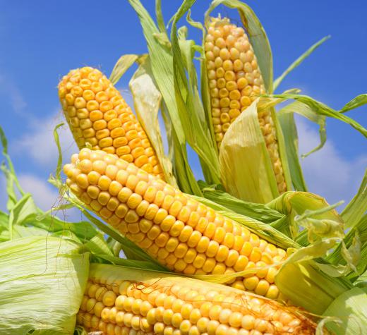 Shoepeg corn is quite low in fat and calories.