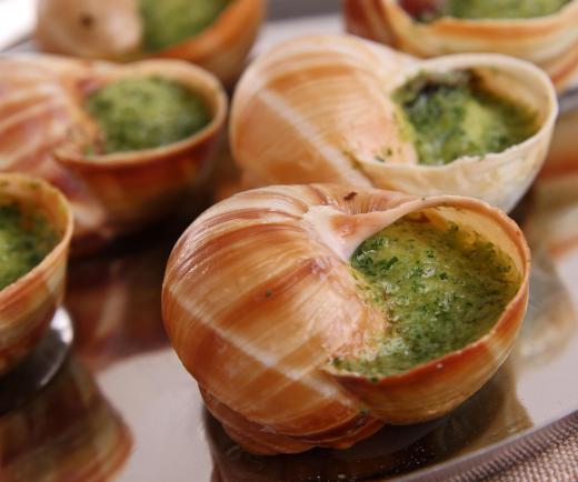 Escargot is the generic term for any edible snail.