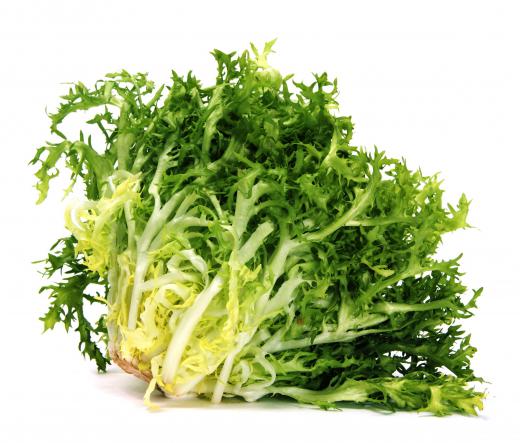 Escarole is sometimes included in bagged salad.