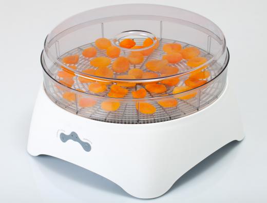 Banan chips can be made in a food dehydrator.