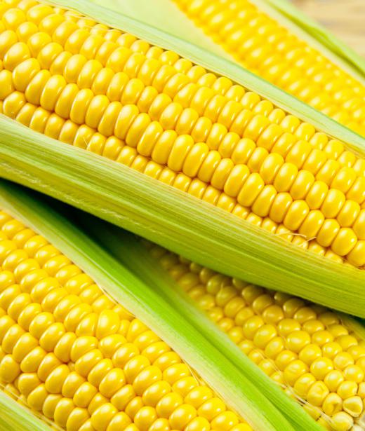 Baby corn is essentially the same type of corn that is on the cob.