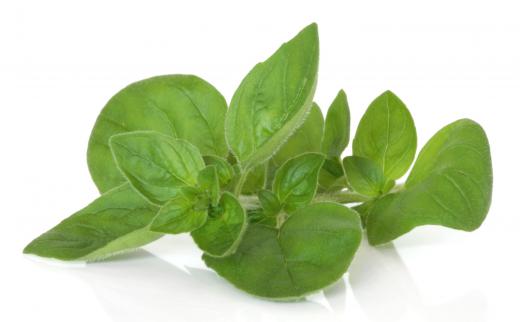 Marjoram, which is often included in cervelle de canut.