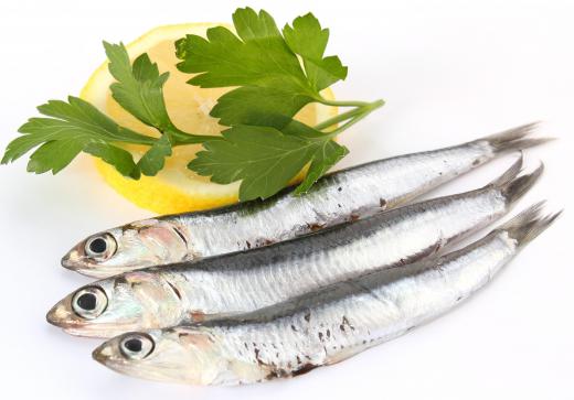 Anchovies are used in pan mee.