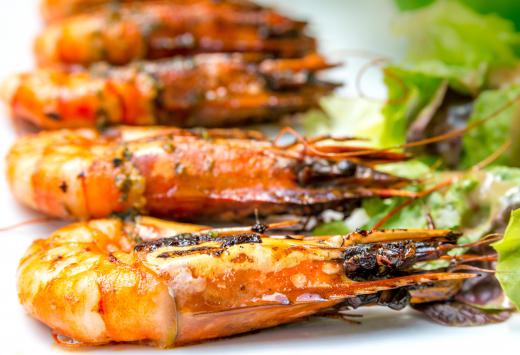 Shrimp are classified as Pleocyemata, and prawns are classified in the suborder Dendobranchiata.