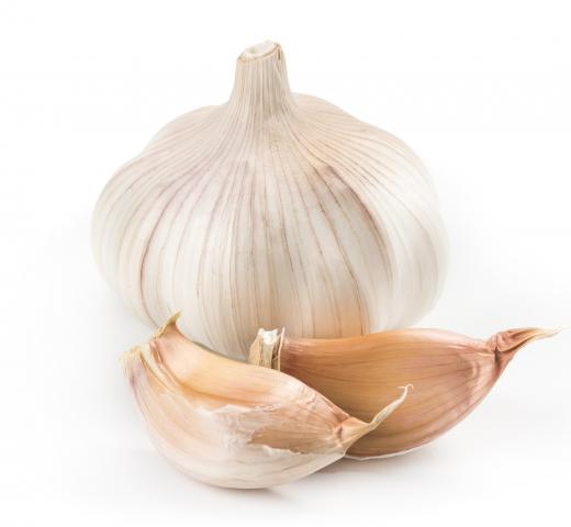 Making fedelini starts with the sauteing of three or four sliced garlic cloves.