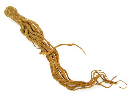 Ginseng root has been used for medicinal purposes for thousands of years.