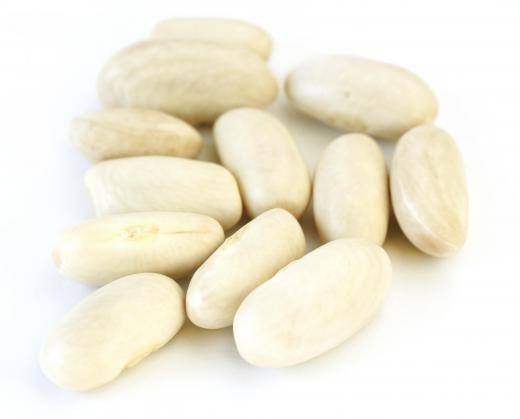 Great Northern beans, a type of white bean.