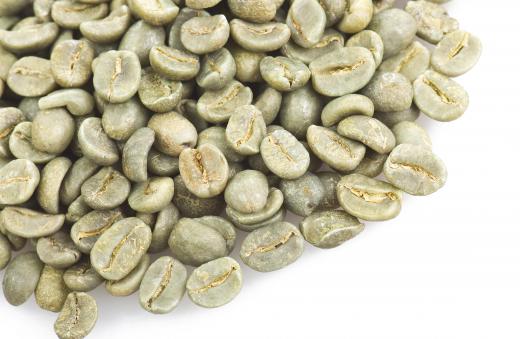 Caffeine is removed from green coffee beans before roasting.