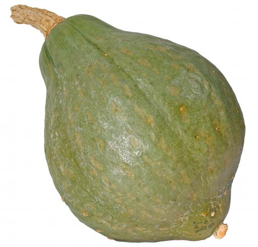 Hubbard squash, a type of winter squash.