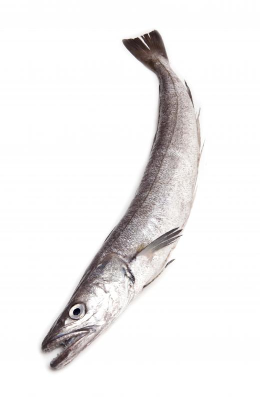 Hake is a type of deep-sea cod fish.