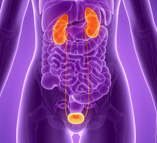 Outbreaks involving sprouts have caused cases of hemolytic uraemic syndrome, which can cause kidney failure.