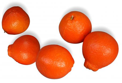 Honey tangerines are grown in Florida.