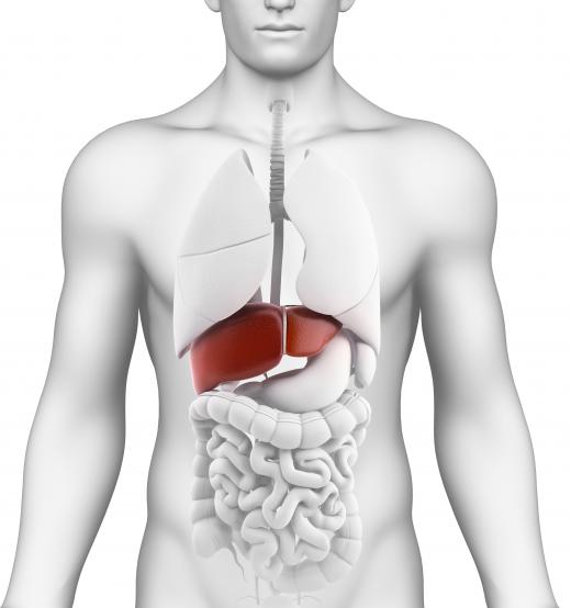 Inorganic arsenic can be linked to liver damage.