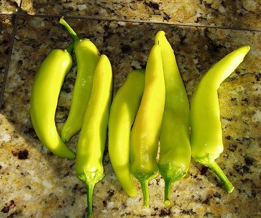 Hungarian wax peppers, a type of capsicum annuum.