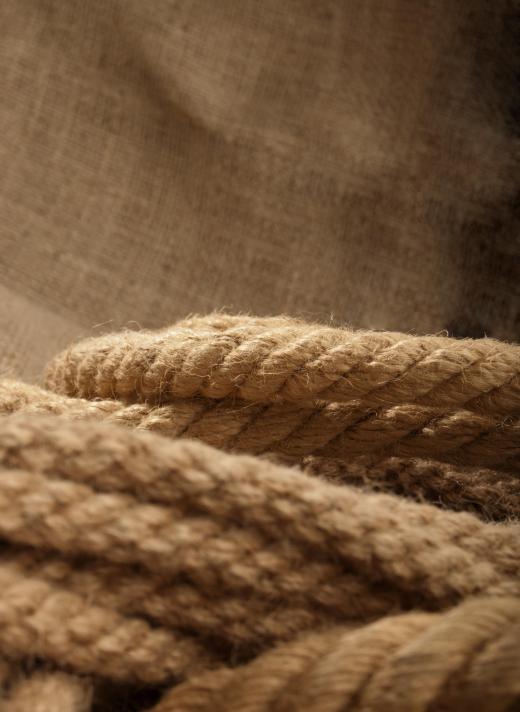 Jute stems are used to make rope and a variety of other products.