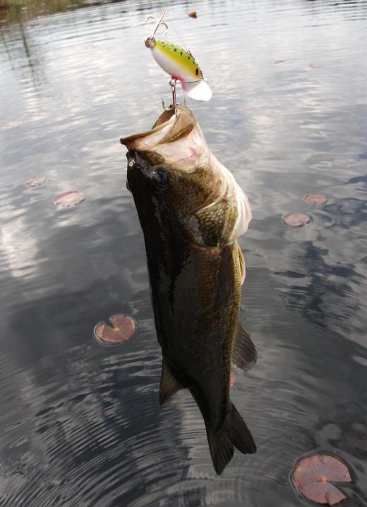 Many fishermen keep a fillet knife in their tackle box.