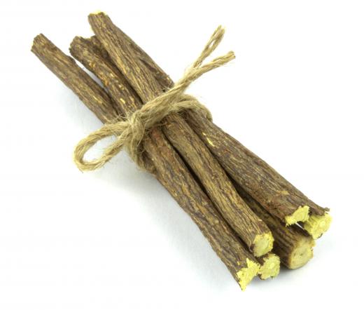 Extract from licorice root is used to make candy licorice laces.