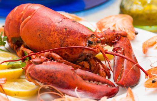 Shore dinners often feature steamed lobster and other edible crustaceans.